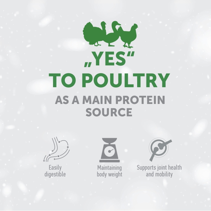 complementary feed snacks for oral care with poultry for adult cats